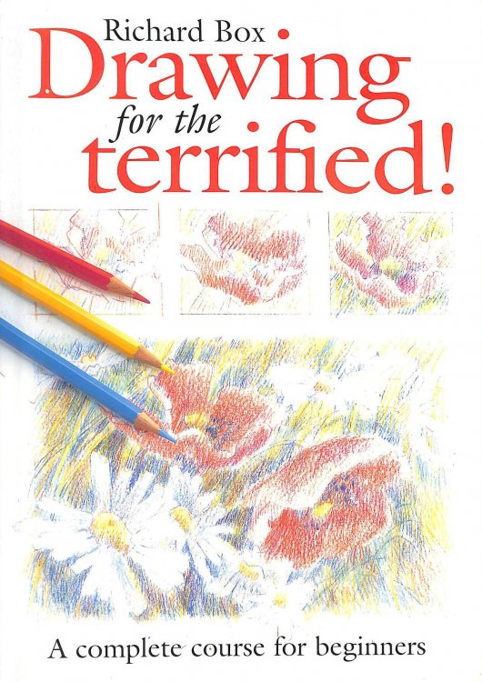 Drawing for the Terrified
