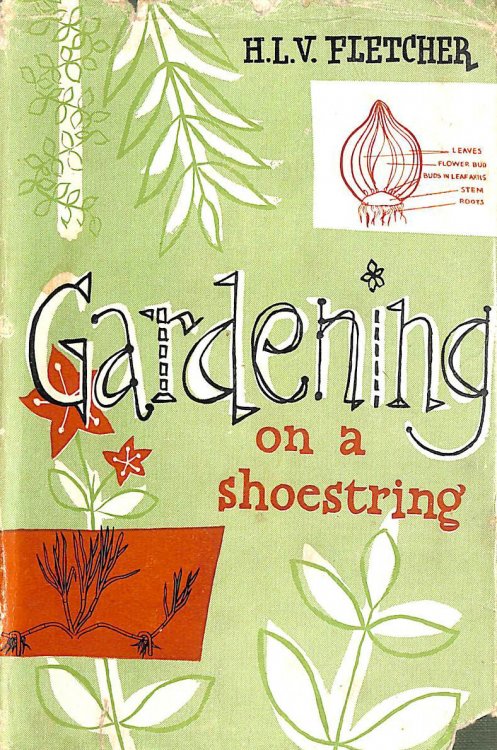 Gardening on a Shoestring