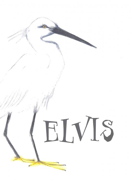 Elvis [The Eagret]