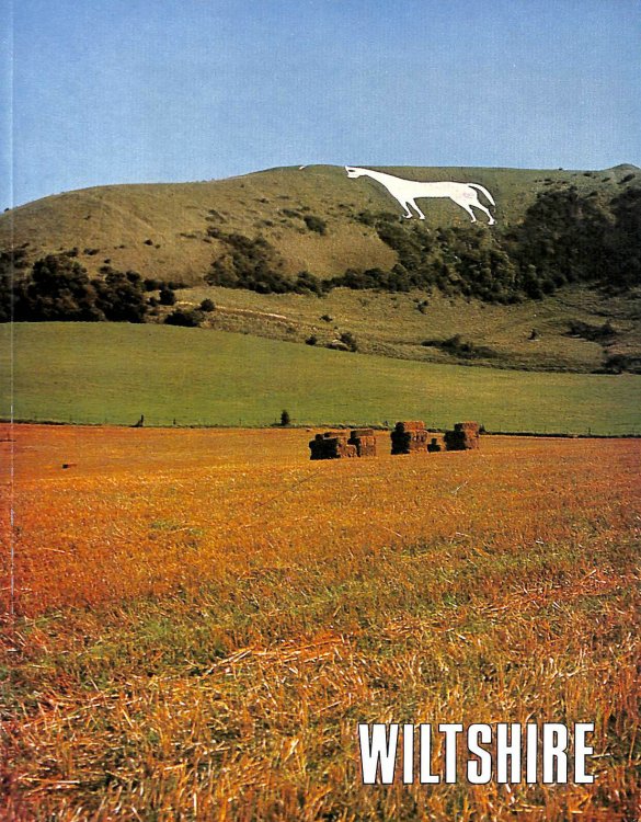 Wiltshire County Handbook
