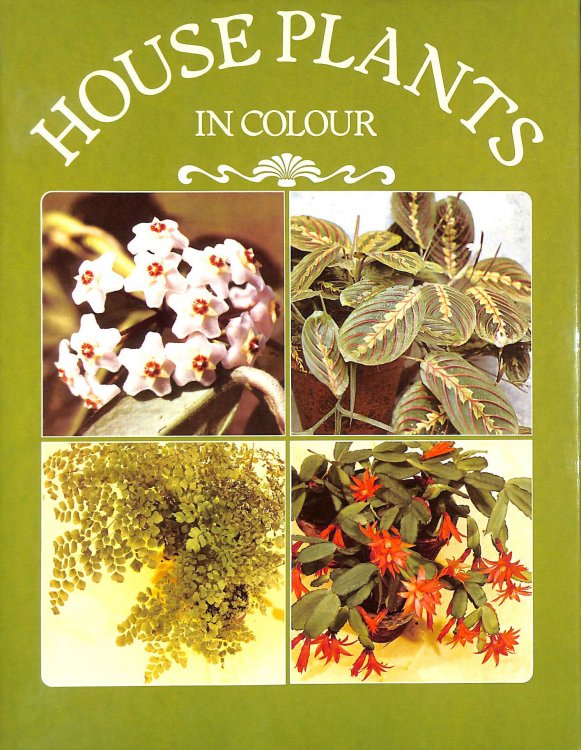 House Plants in Colour
