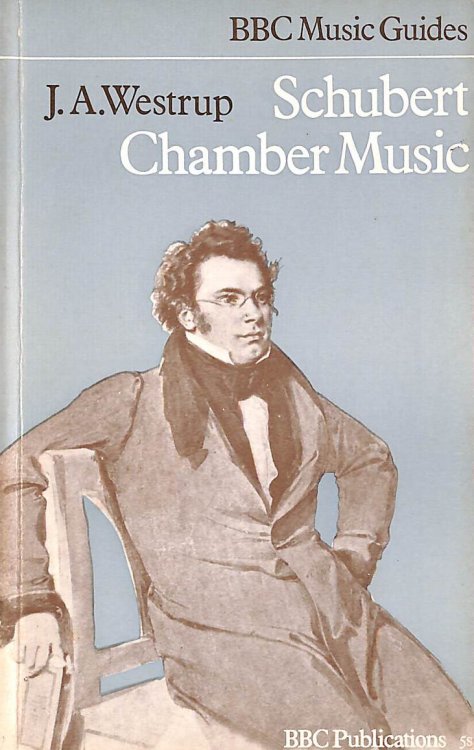 Schubert Chamber Music (Music Guides)