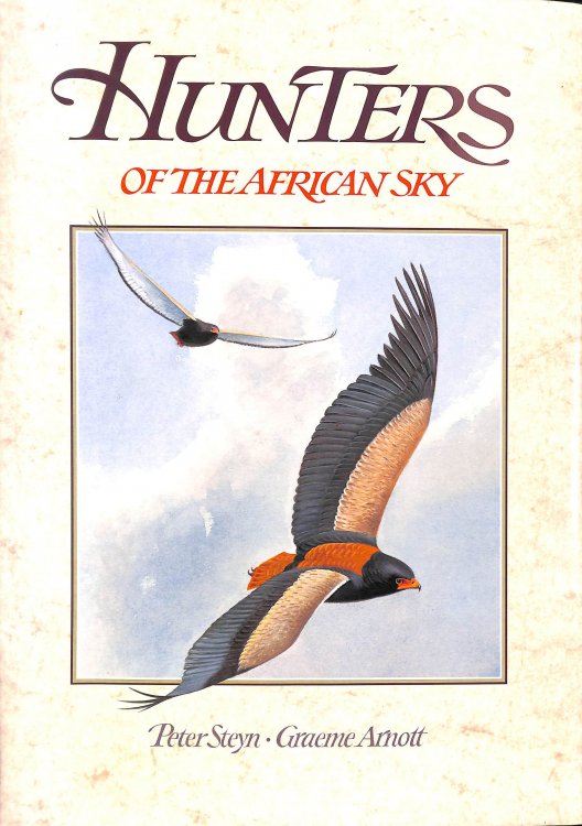 Hunters of the African Sky