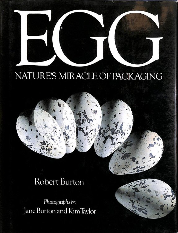 Egg: Nature's Miracle of Packaging