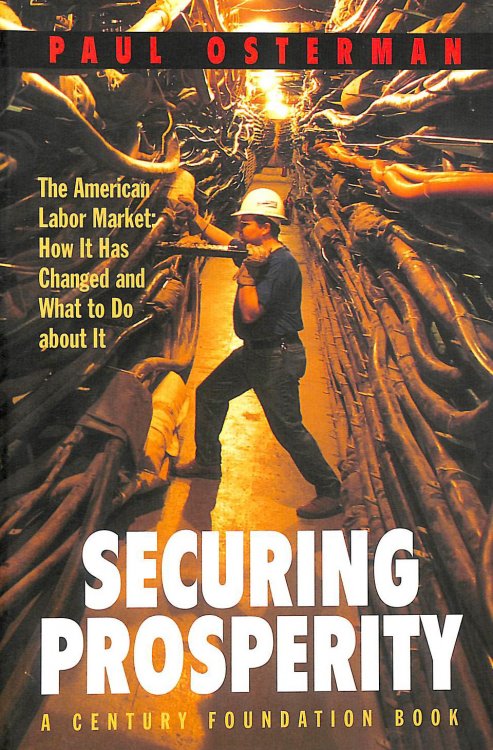 Securing Prosperity: The American Labor Market: How It Has Changed and What to Do about It (Century Foundation Book)