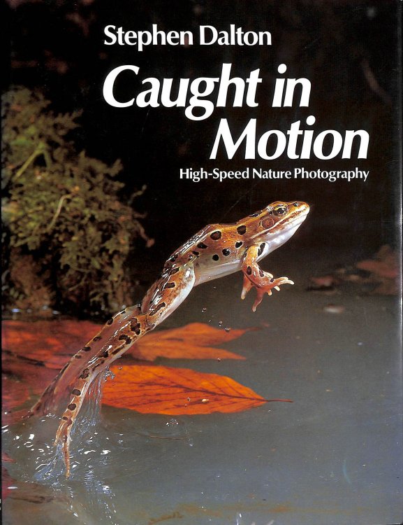 Caught in Motion: High Speed Nature Photography