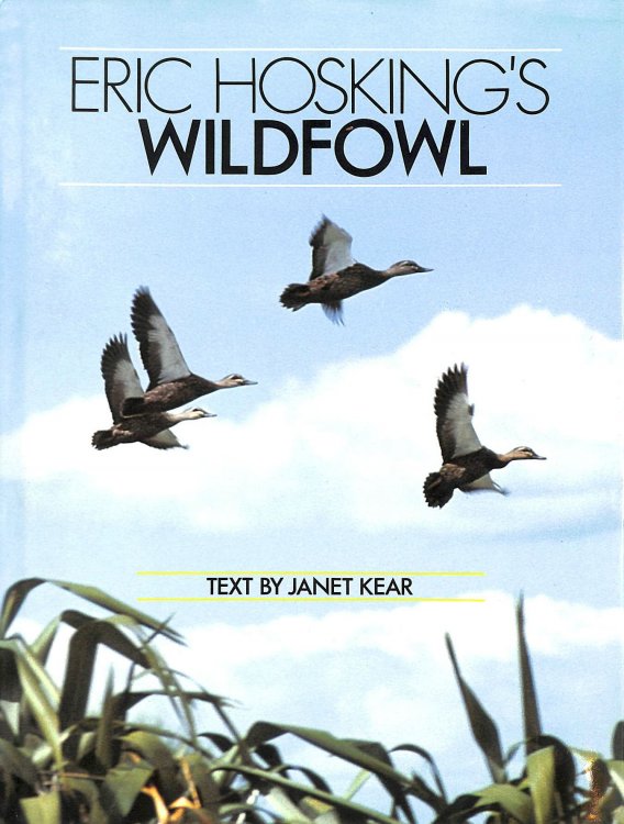 Eric Hosking's Wildfowl