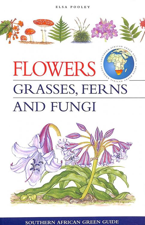 Southern African Green Guide: Flowers, Grasses, Ferns and Fungi (Southern African Green Guides)