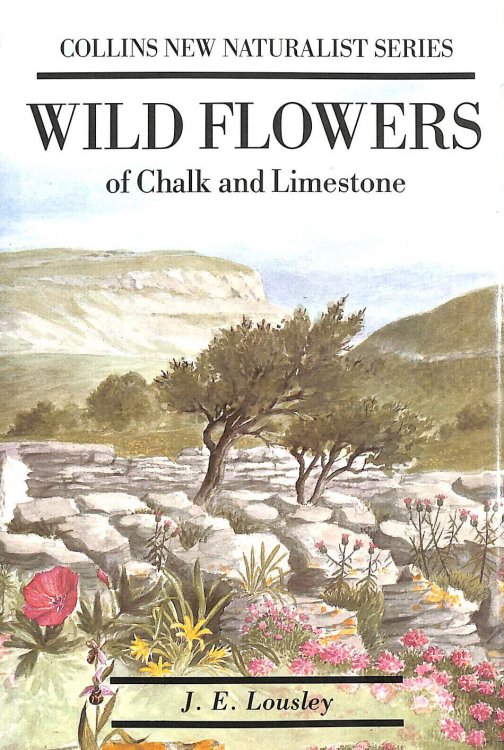 Wild Flowers of Chalk & Limestone