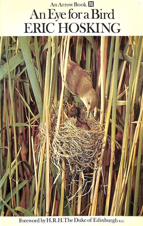 Eye for a Bird: Autobiography of a Bird Photographer