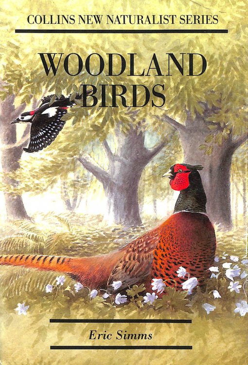Woodland Birds