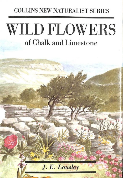 Wild Flowers of Chalk & Limestone