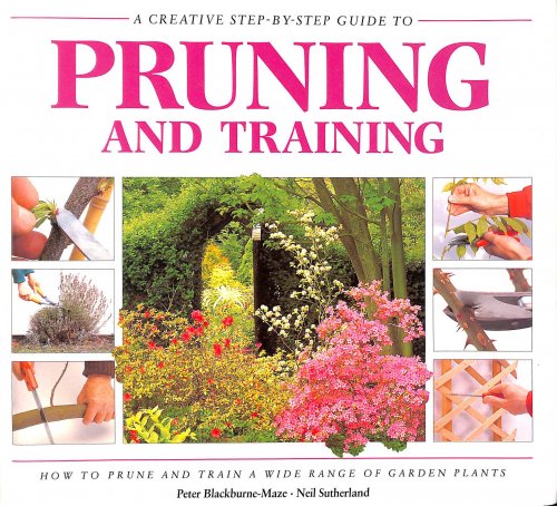 Pruning and Training (A Creative Step-by-step Guide to)
