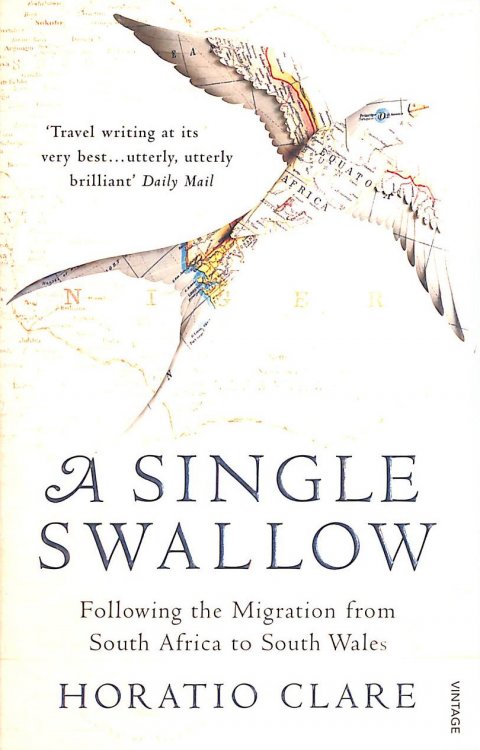 A Single Swallow: Following An Epic Journey From South Africa To South Wales