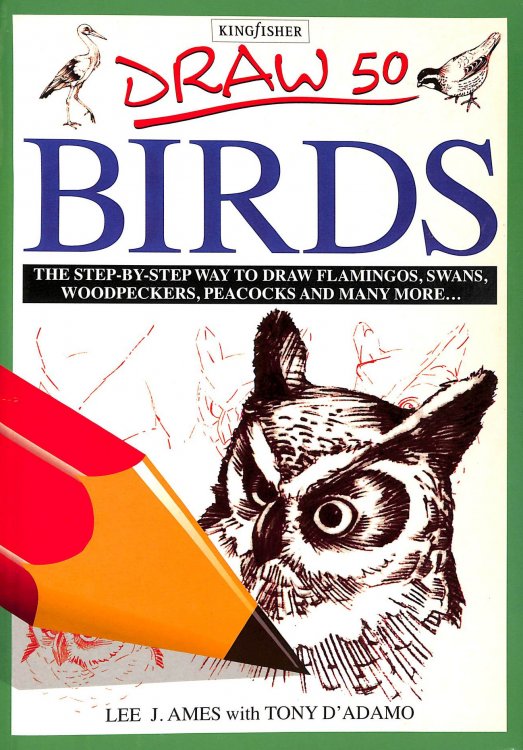 Draw 50 Birds (Draw 50 S.)