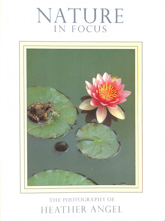 Nature in Focus