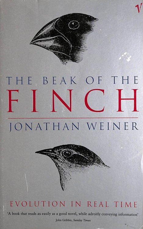 The Beak Of The Finch