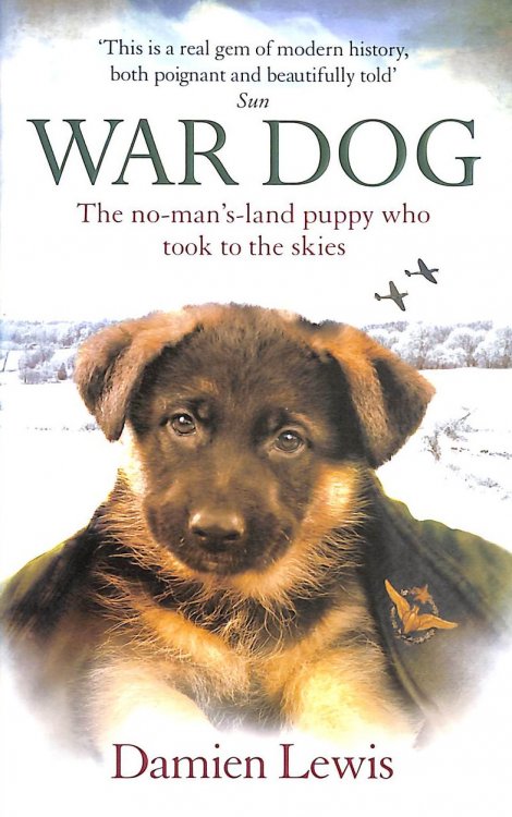 War Dog: The no-man's-land puppy who took to the skies
