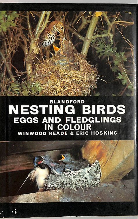 Nesting Birds, Eggs and Fledglings in Colour