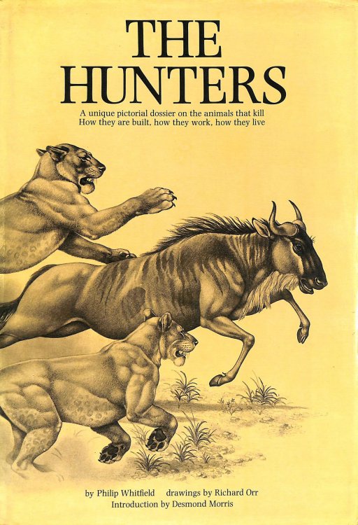 Hunters, The