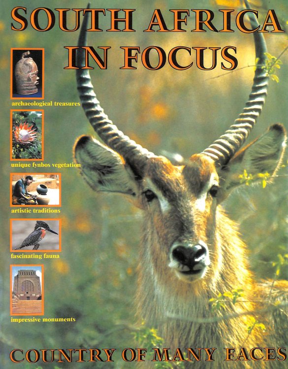 South Africa In Focus