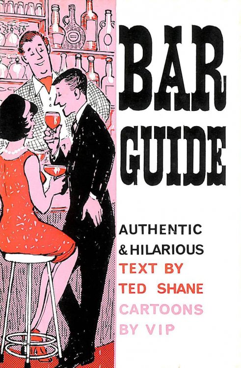 Authentic And Hilarious Bar Guide