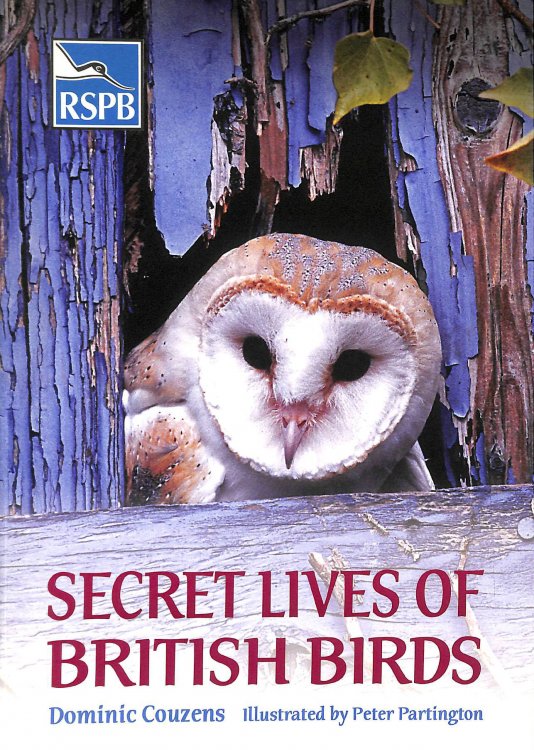 Secret Lives of British Birds (Rspb)