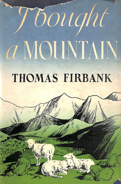 I Bought a Mountain