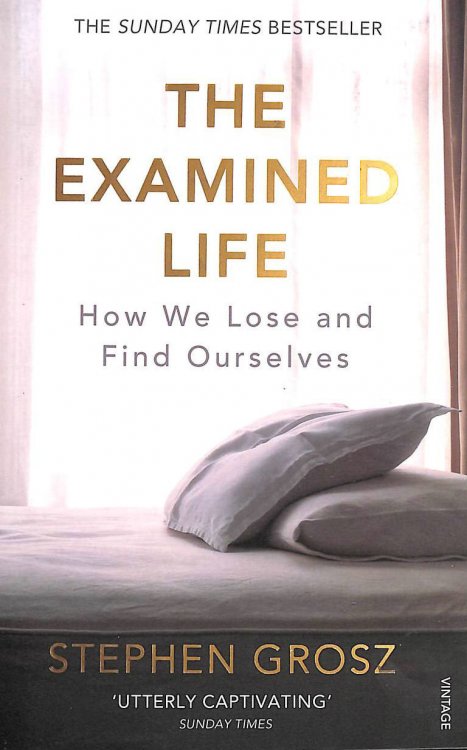 The Examined Life: How We Lose and Find Ourselves