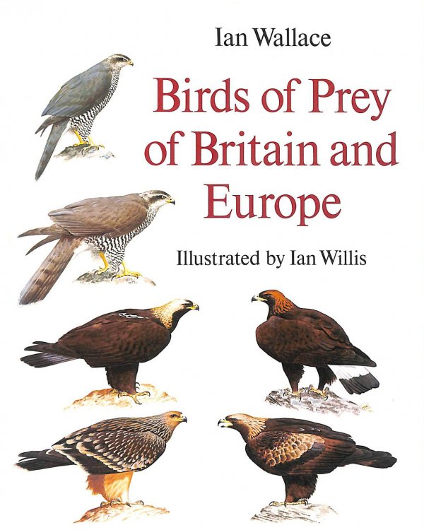 Birds of Prey in Britain and Europe
