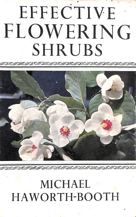 Effective Flowering Shrubs :