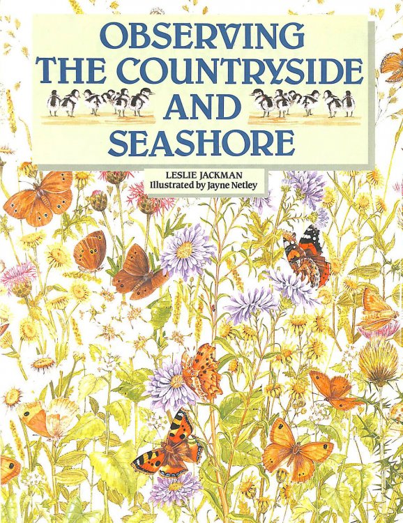 Observing The Countryside and Seashore