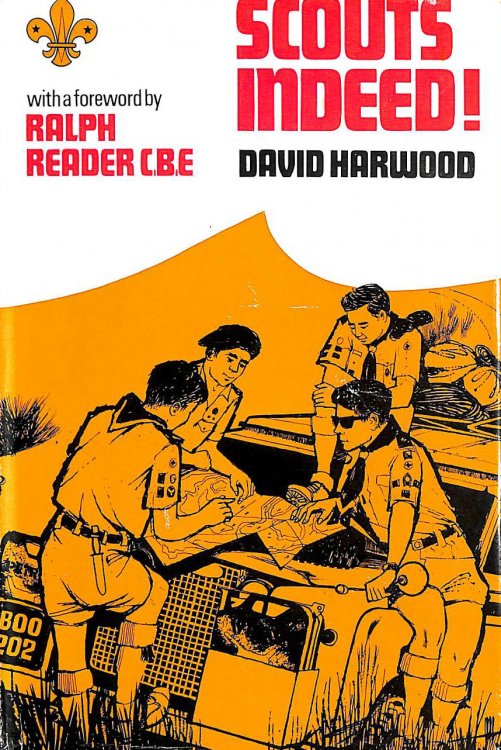 Scouts Indeed!
