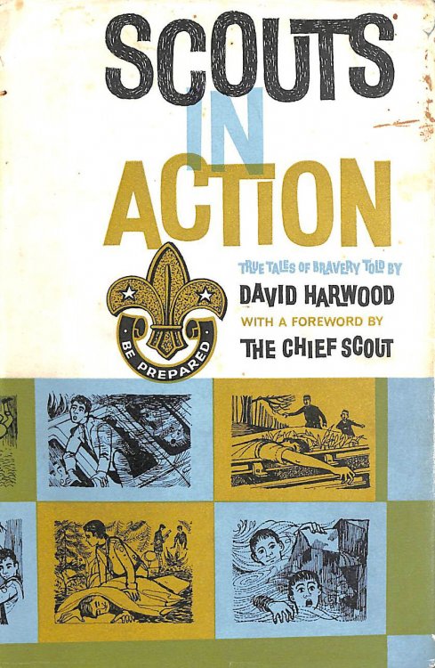 Scouts in Action