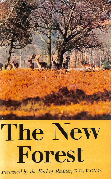 The New Forest