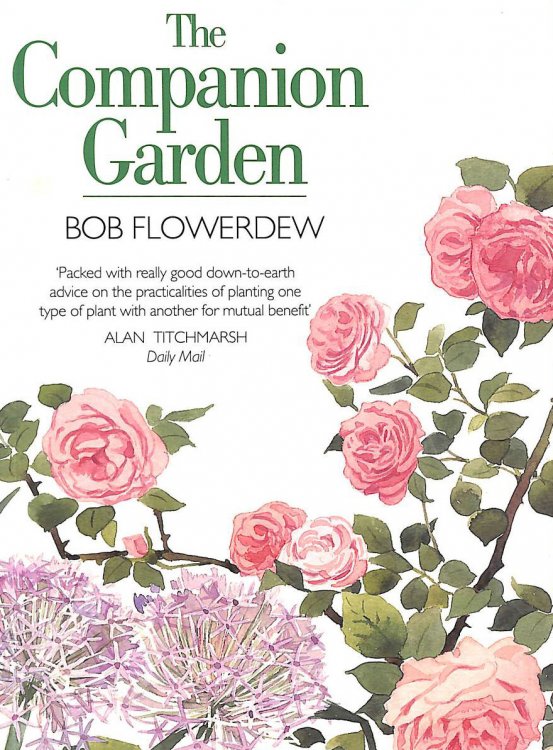 The Companion Garden