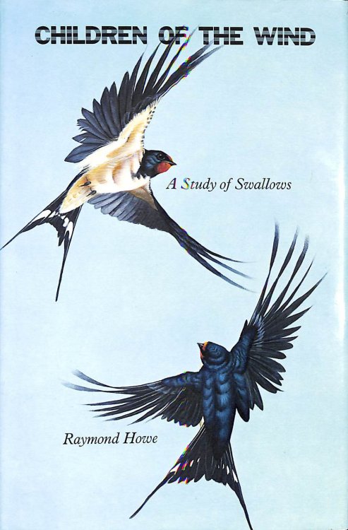 Children of the Wind: Study of Swallows