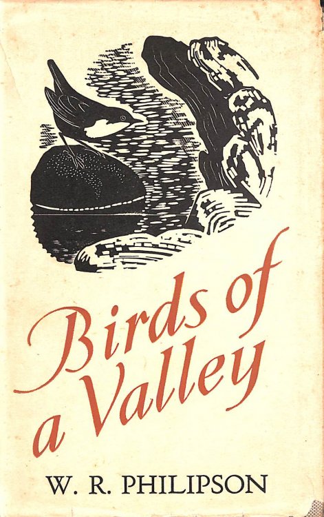 Birds of a Valley