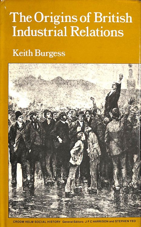 The Origins Of British Industrial Relations: The Nineteenth Century Experience (Croom Helm Social History Series)