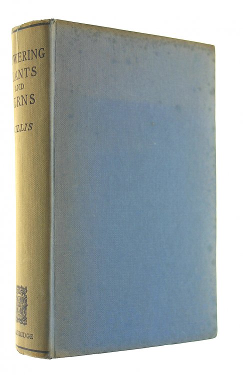 A Dictionary of the Flowering Plants and Ferns
