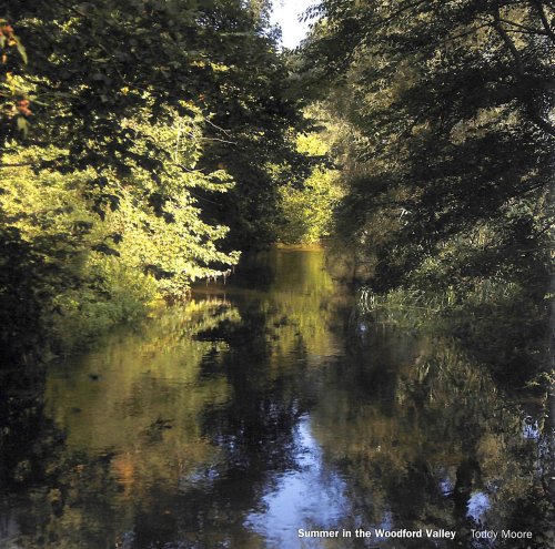 Summer in the Woodford Valley