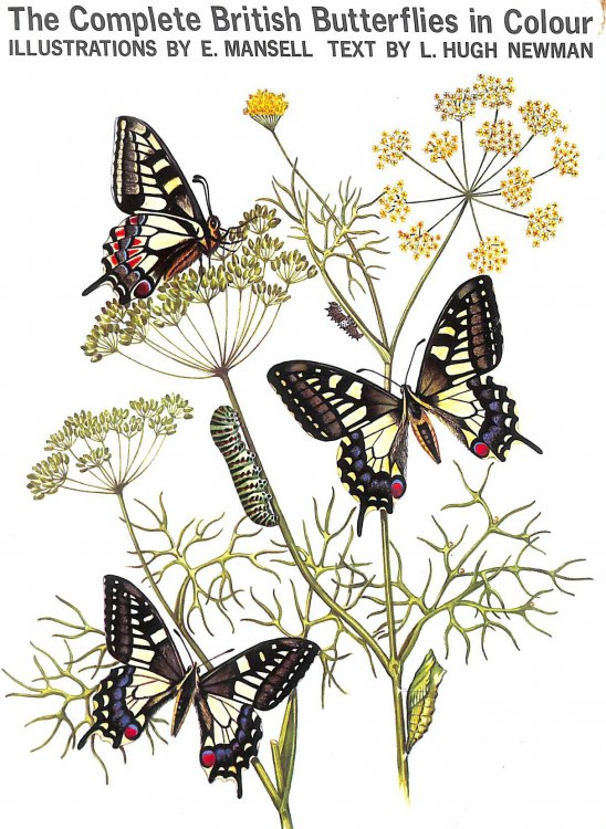 The Complete British Butterflies in Colour