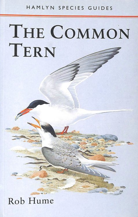 The Common Tern (Hamlyn Species Guides)