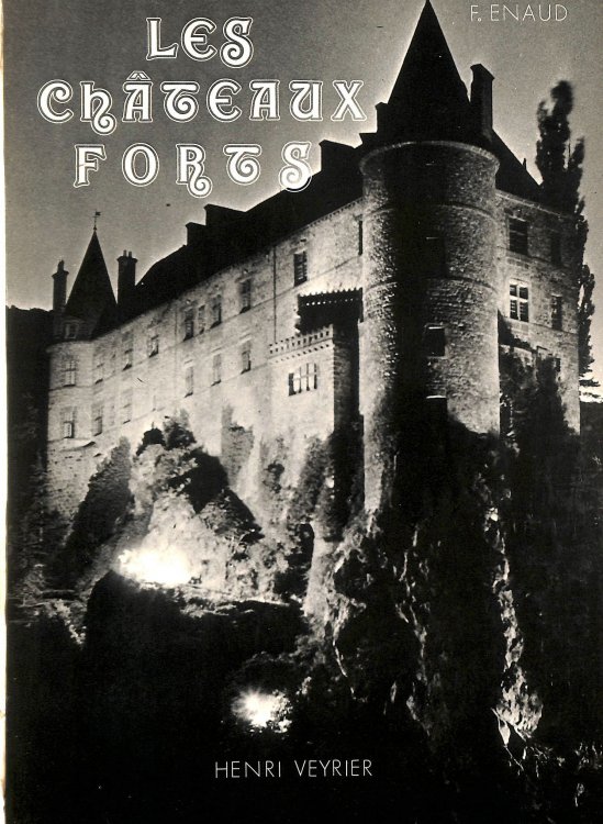 Les chateaux forts en france