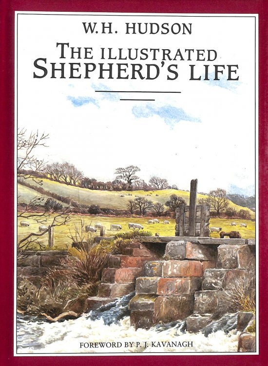 Shepherd's Life
