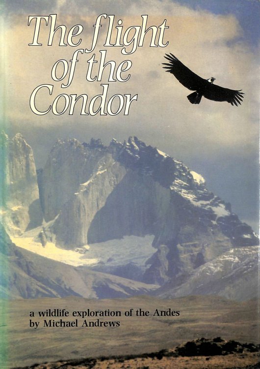 The Flight of the Condor