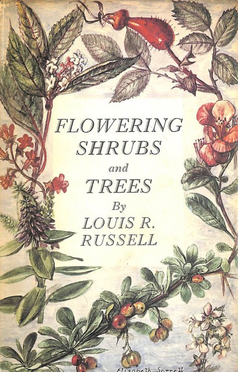 Flowering shrubs and trees