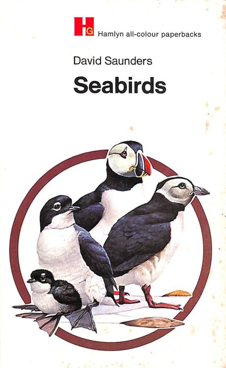Seabirds