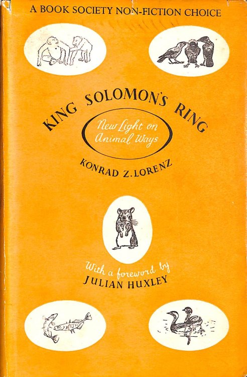 King Solomon's Ring