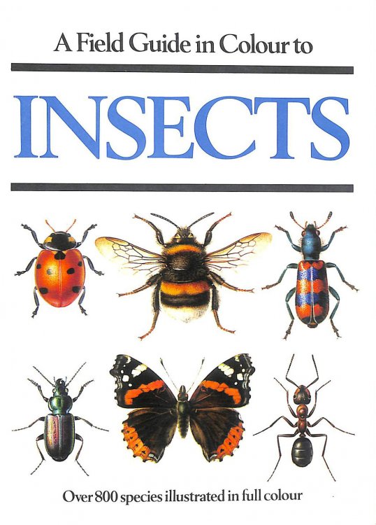 Field Guide in Colour to Insects